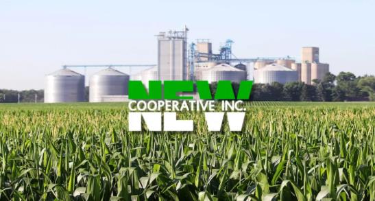 newcooperativeÔâ¹¥»÷.jpg newcooperativeÔâ¹¥»÷.jpg