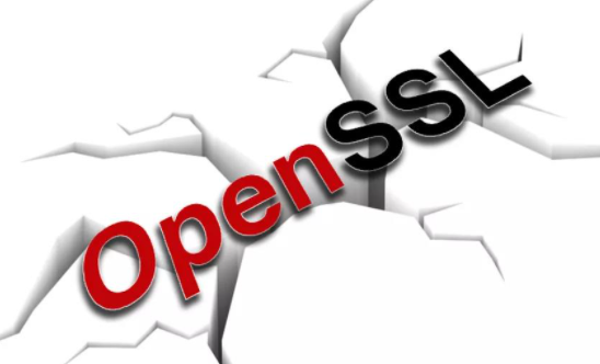 OpenSSL�䲼��ȫ�����������޸���Ʒ�е�2����ȫ��϶.png
