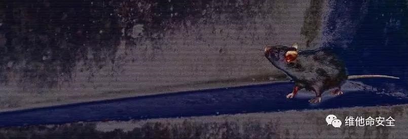 OG��������(�й���½)